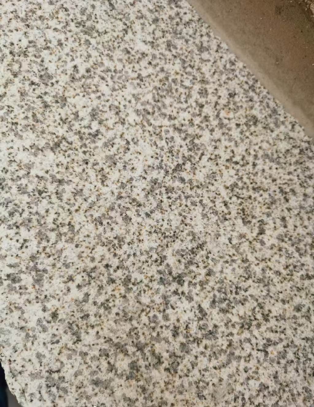 青海 黄金麻中黄光面