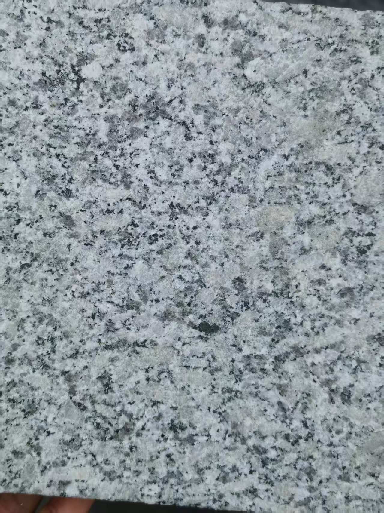 青海 芙蓉白火烧面
