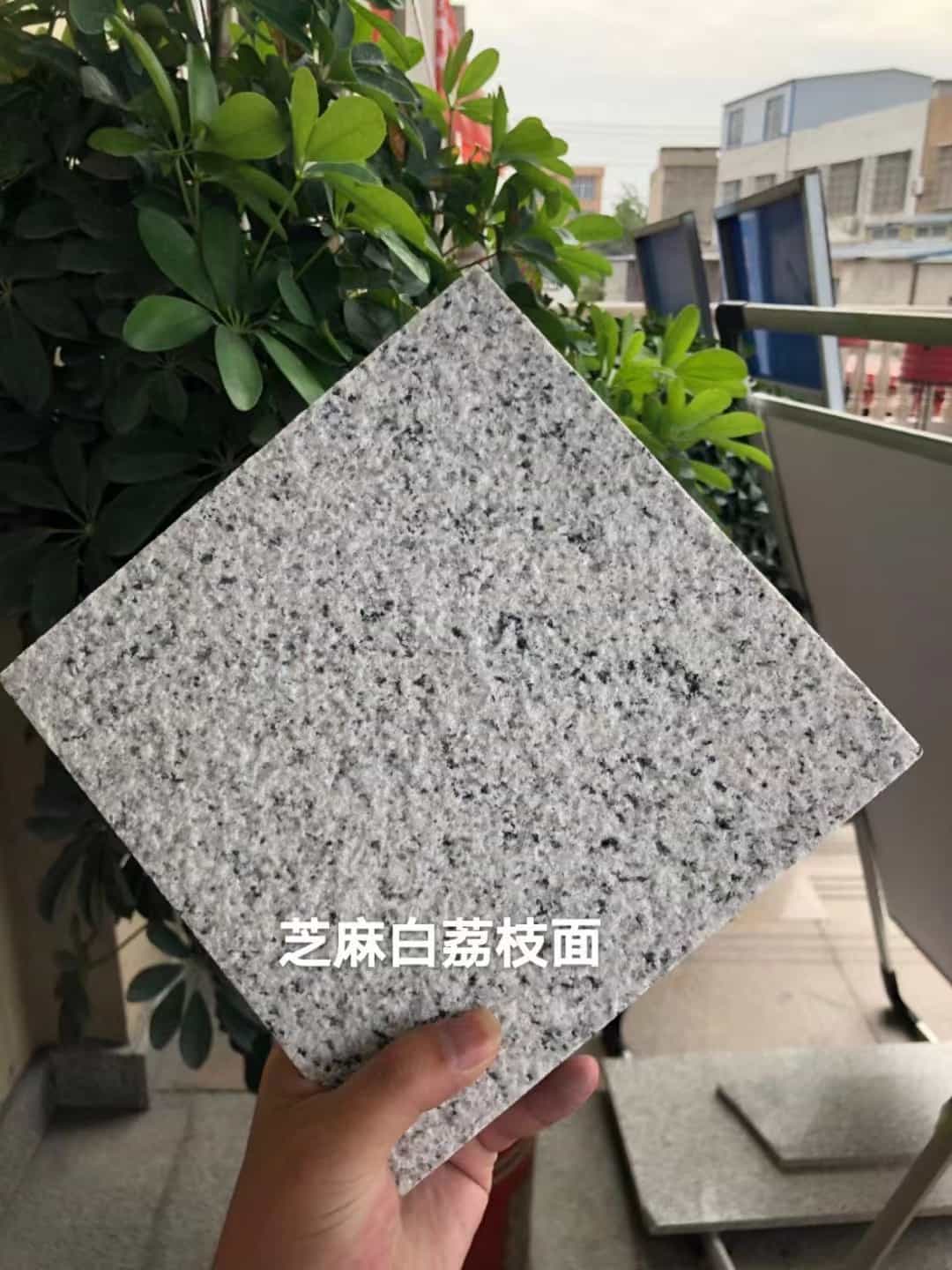 青海 芝麻白荔枝面干挂